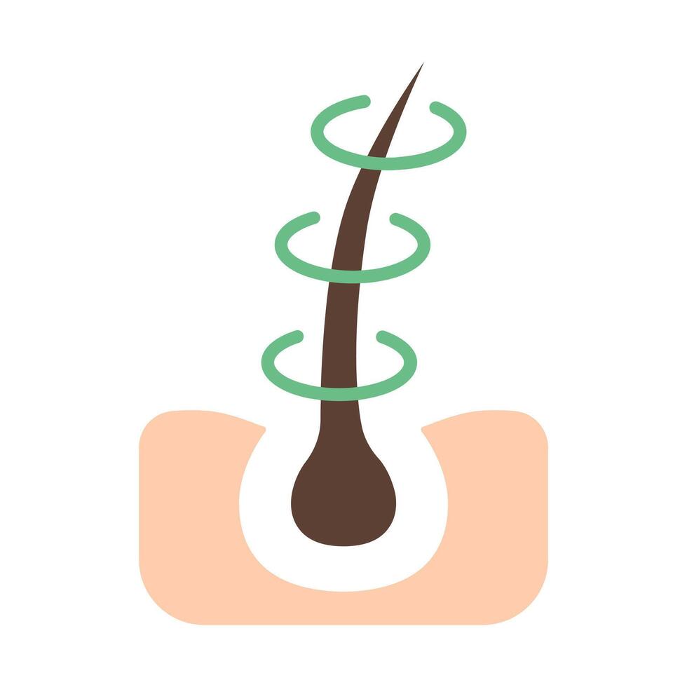 Hair line icon. Follicle, curls, hair follicle, growth, injection, treatment, loss, transplant, removal, recovery, tip section, care, skin, acne, pores. Health, beauty, therapy, medical. vector