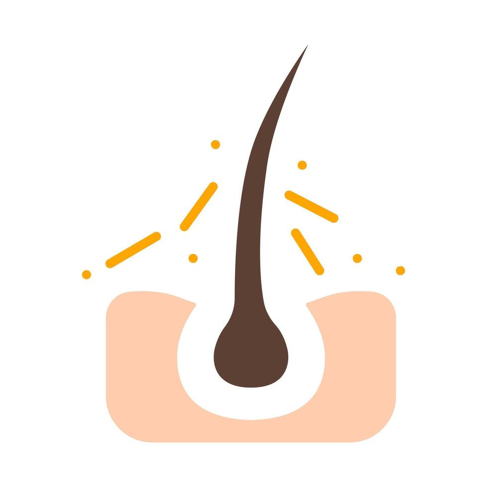 Hair line icon. Follicle, curls, hair follicle, growth, injection, treatment, loss, transplant, removal, recovery, tip section, care, skin, acne, pores. Health, beauty, therapy, medical. vector