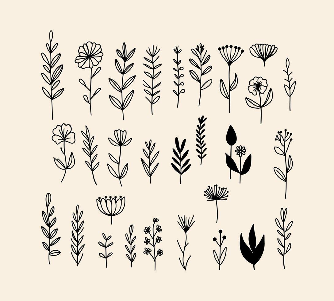 collection of hand-drawn botanical elements in black and white line art style. Simple and minimalist design featuring various leaves and plants. Perfect for natural, decorative, and artistic project vector