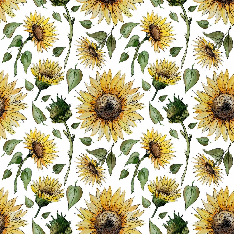 Hand drawn watercolor seamless pattern with sunflower flowers on a white background for your disign vector