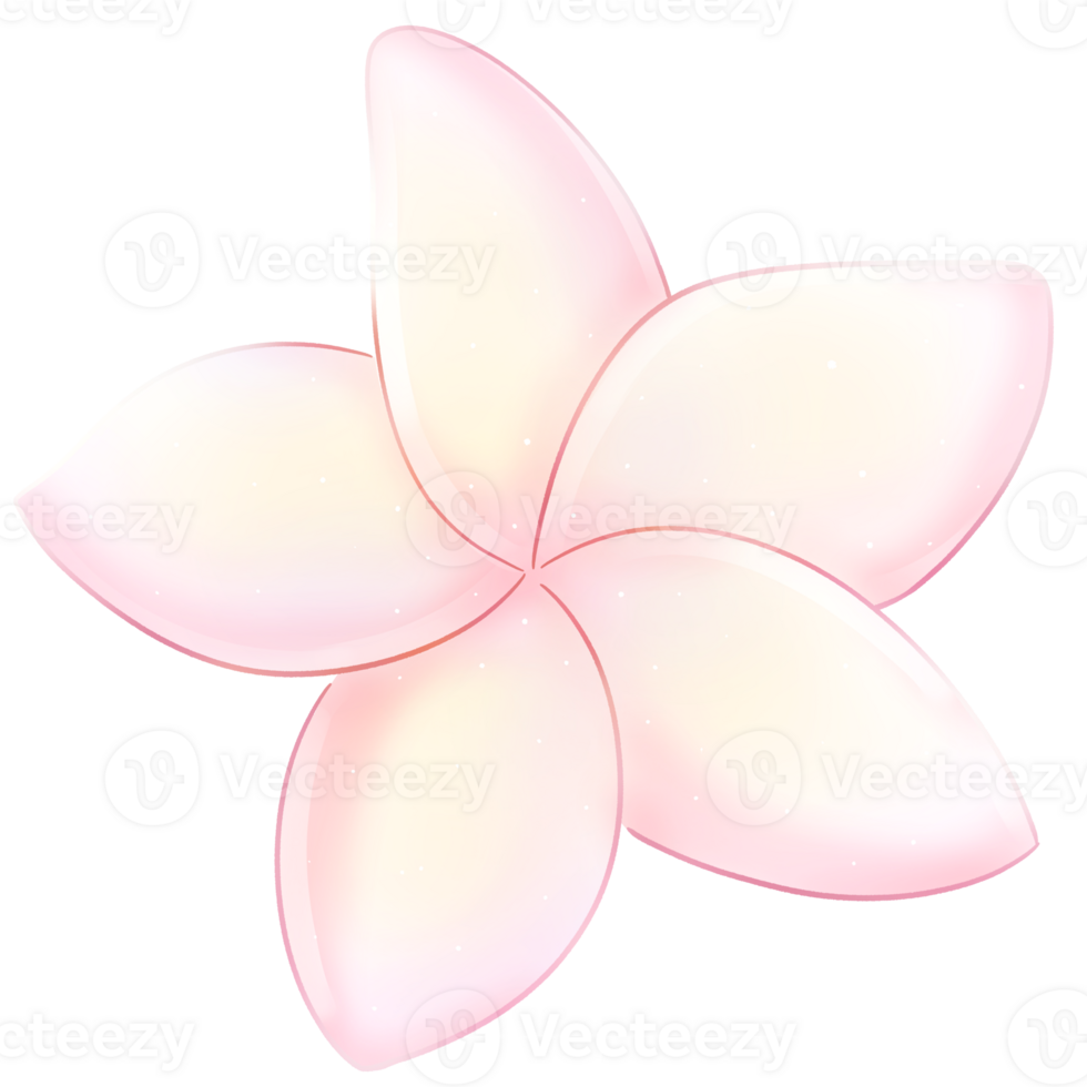 Blue Hawaiian Frangipani Plumeria Topical flower Hand drawn illustration png