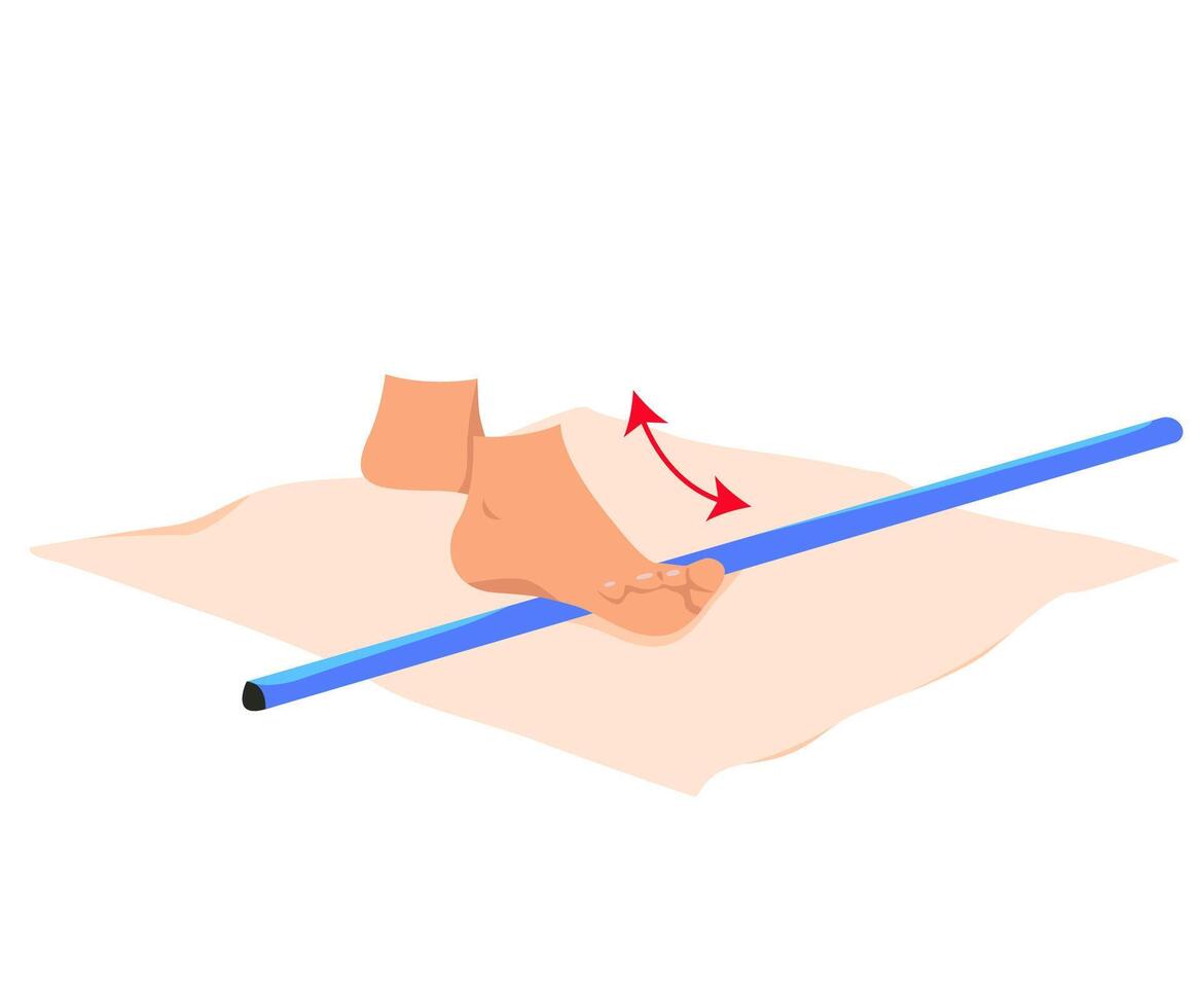 A set of exercises for myofascial release of the legs. A set of relaxing exercises for the legs with a body bar. Rehabilitation exercises for legs. vector