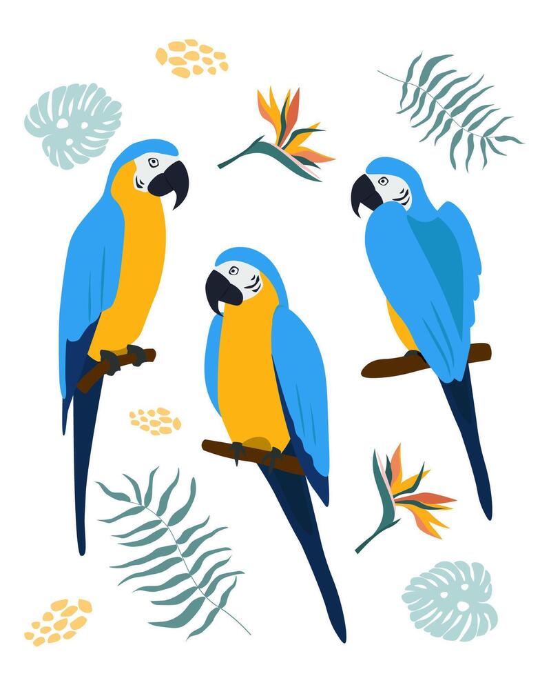 Set of yellow-blue macaw parrots on a branch. Tropical flowers and leaves. vector