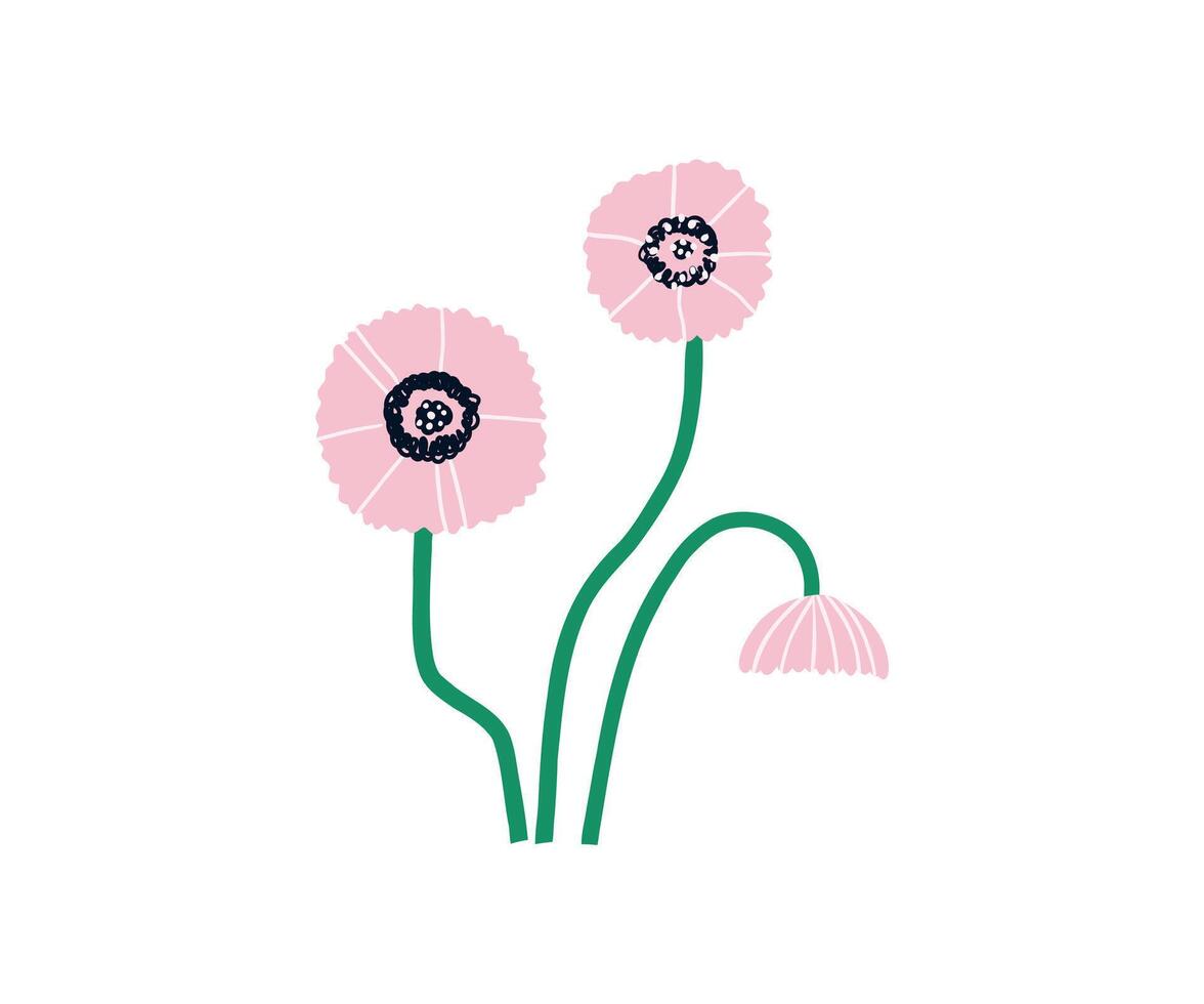 Hand drawn summer flower. Garden, flower garden, plants. illustration in flat style. vector