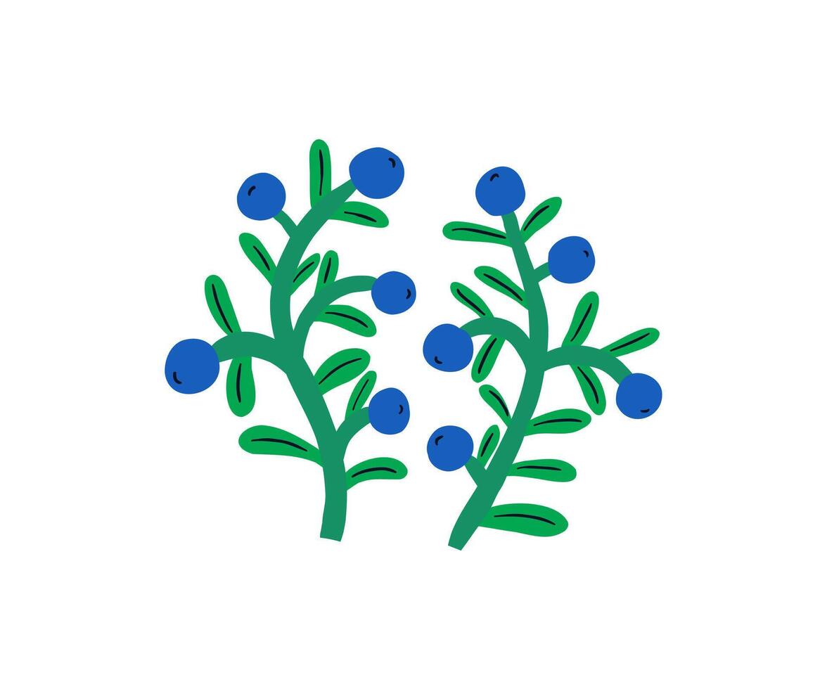 Hand drawn summer flower. Garden, flower garden, plants. illustration in flat style. vector