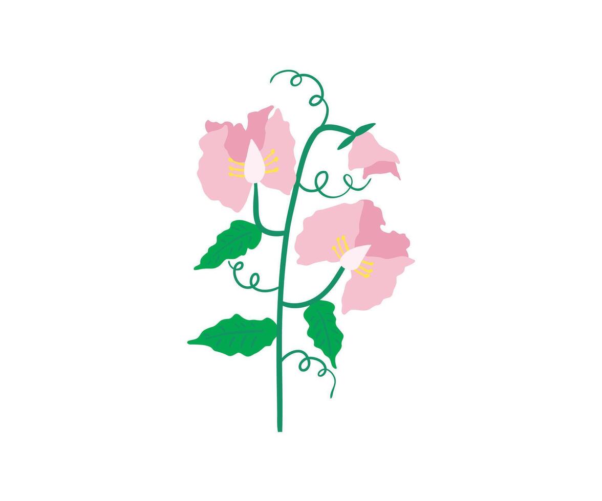 Hand drawn summer flower. Garden, flower garden, plants. illustration in flat style. vector