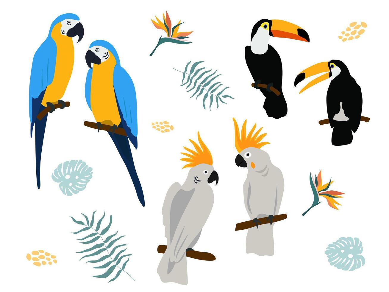 Set with exotic birds. Pairs of parrots, cockatoos, macaws, toucans on a branch. vector