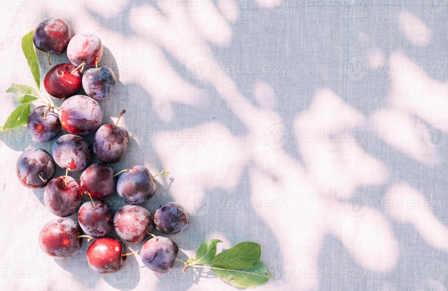 Fresh plum, fruits of ripe organic fruits on the kitchen table, top view. Seasonal harvest photo