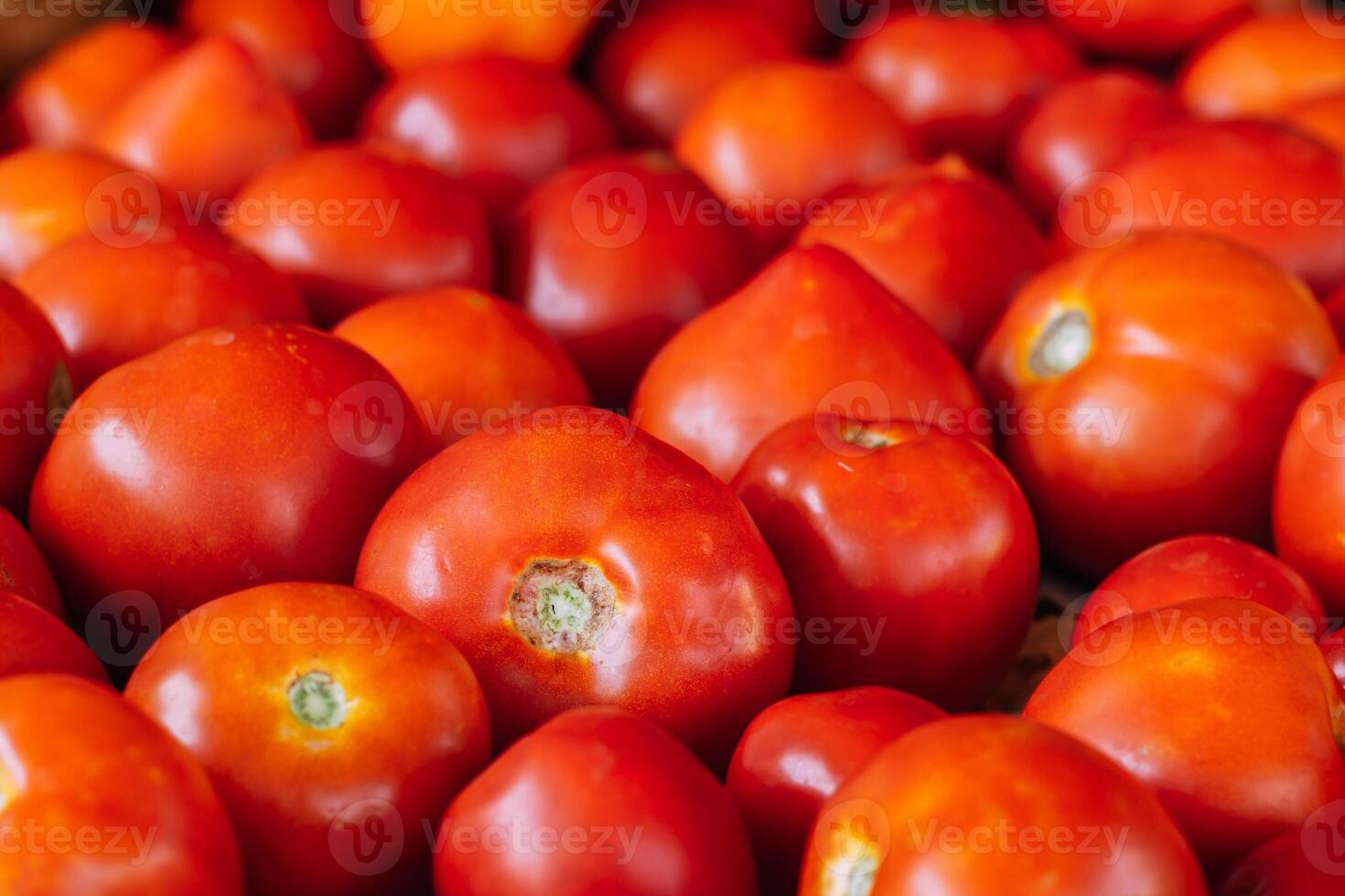 Organic food, harvest. Ripe red tomatoes lie on table photo