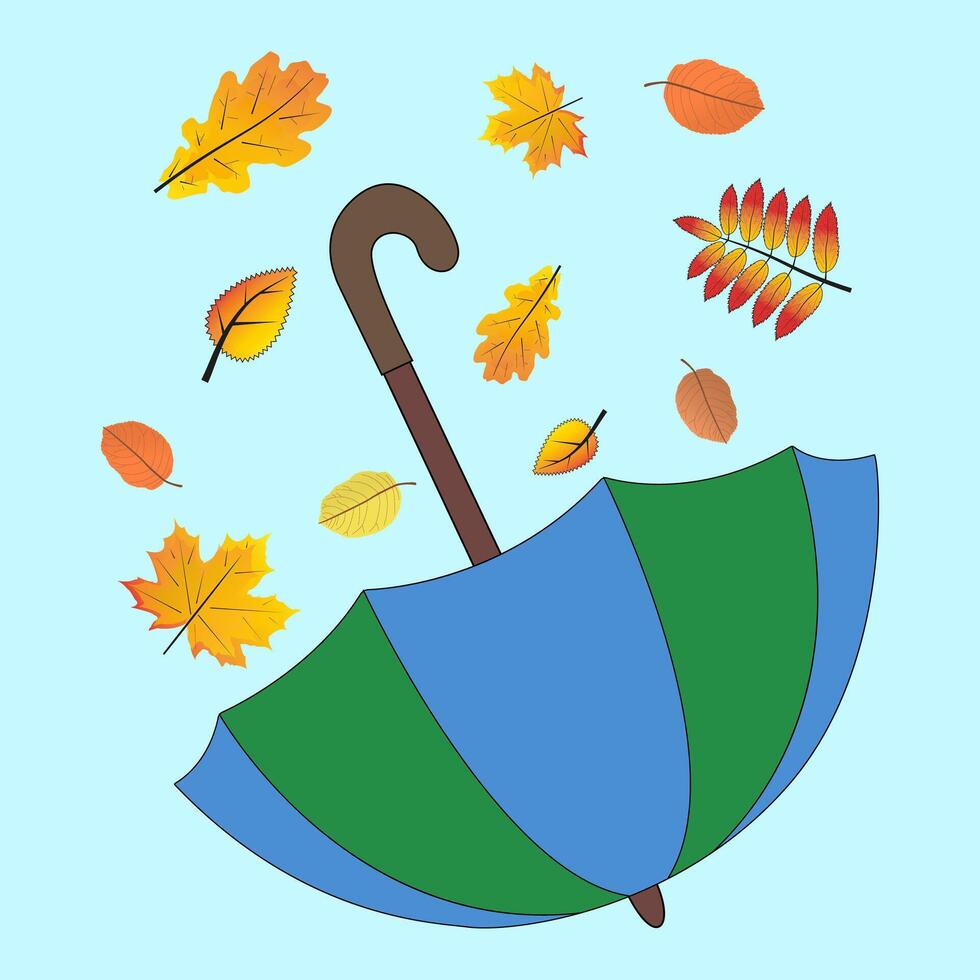 Autumn leaves fall in a blue-green umbrella, fall. color drawing vector