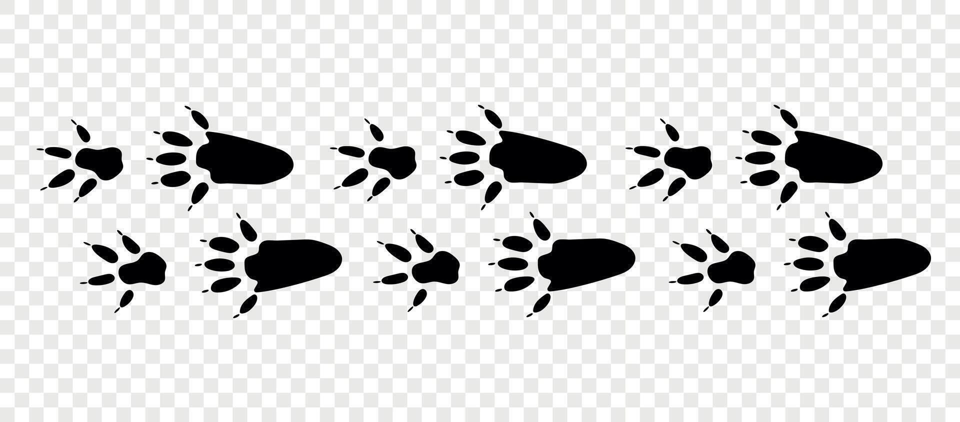 Footpath trail of animals. Chipmunk paws. Chipmunk paws walking randomly print isolated on checkered background. vector