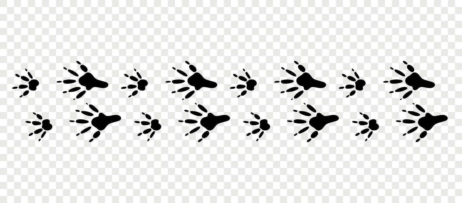 Footpath trail of animals. Mouse paws. Mouse paws walking randomly print isolated on checkered background. vector