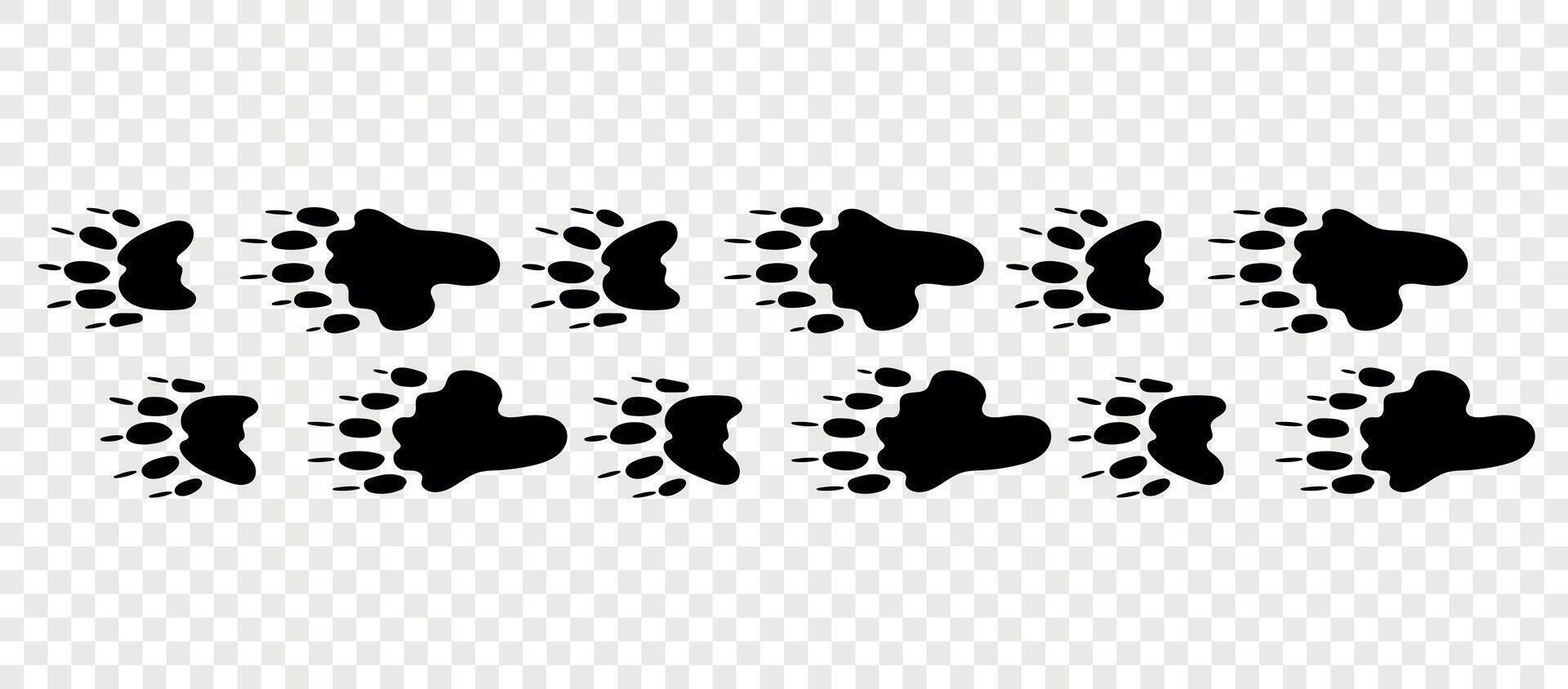 Footpath trail of animals. Skunk paws. Skunk paws walking randomly print isolated on checkered background. vector
