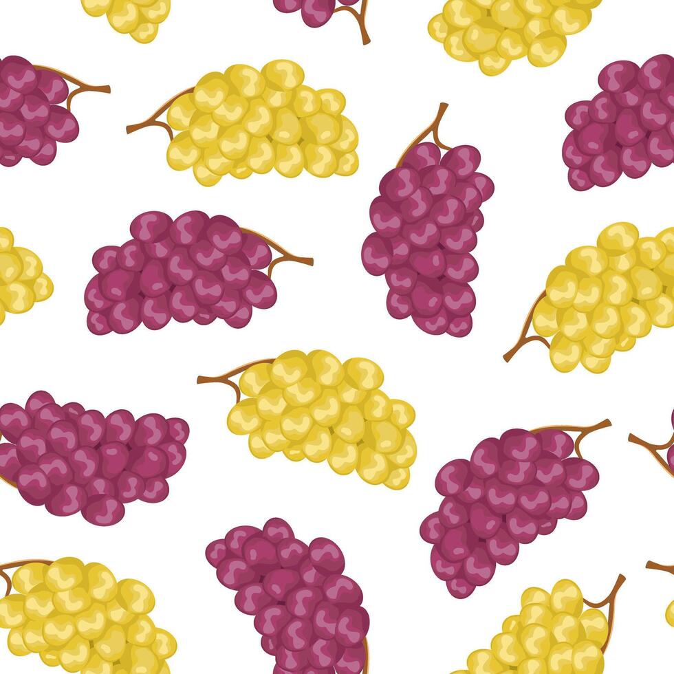seamless pattern with grapes of different colors. Background with fruits for packaging, paper and wallpaper. vector