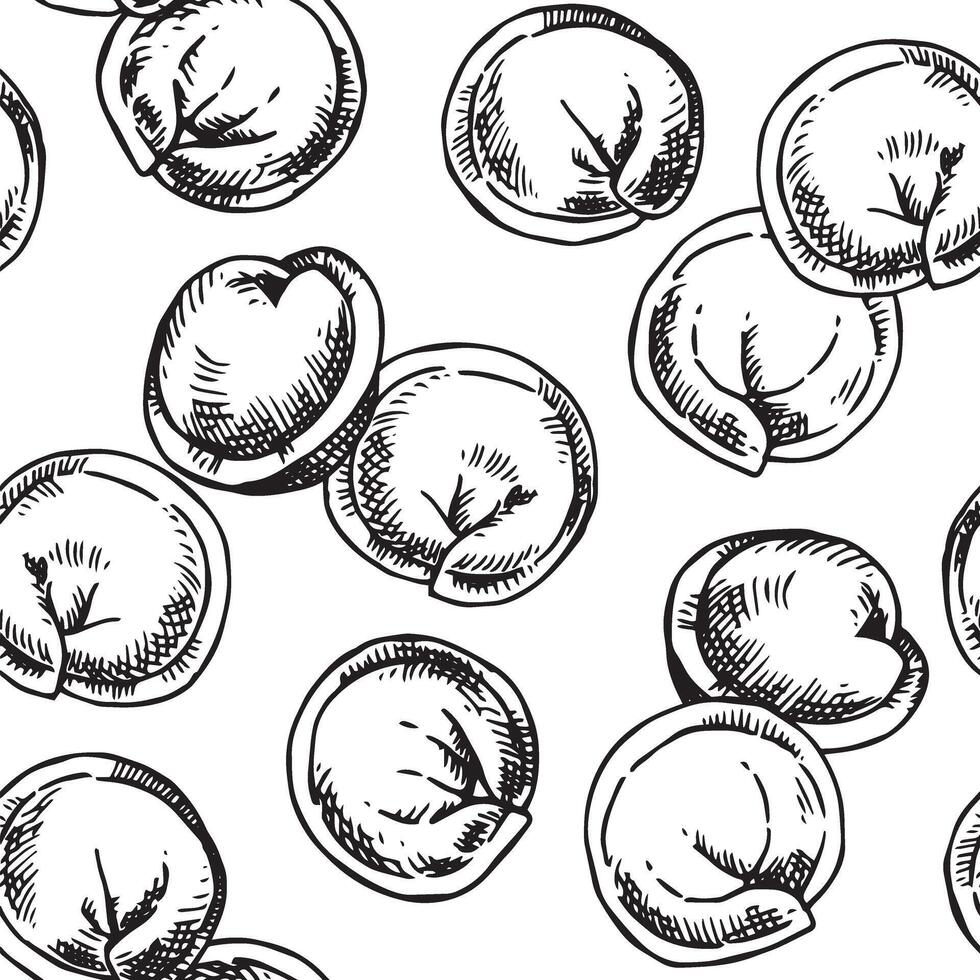 seamless pattern of dumplings, illustration in sketch style vector