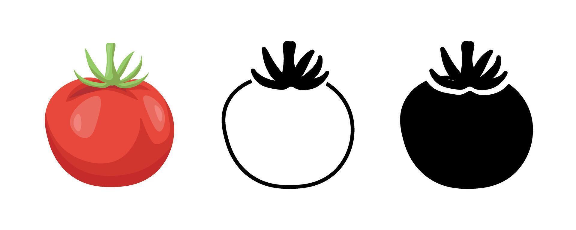 Tomato vegetable icon collection. Set of tomato icons for website design on a white background. illustration vector