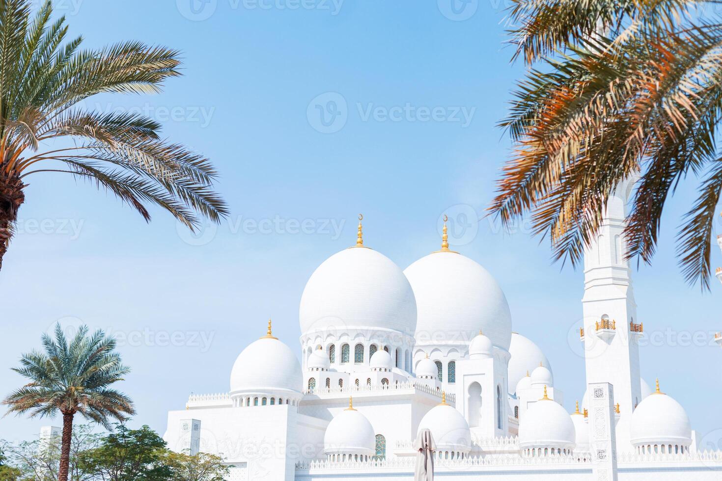 Beautiful white mosque with palm trees on a sunny day in Abu Dhabi, UAE photo