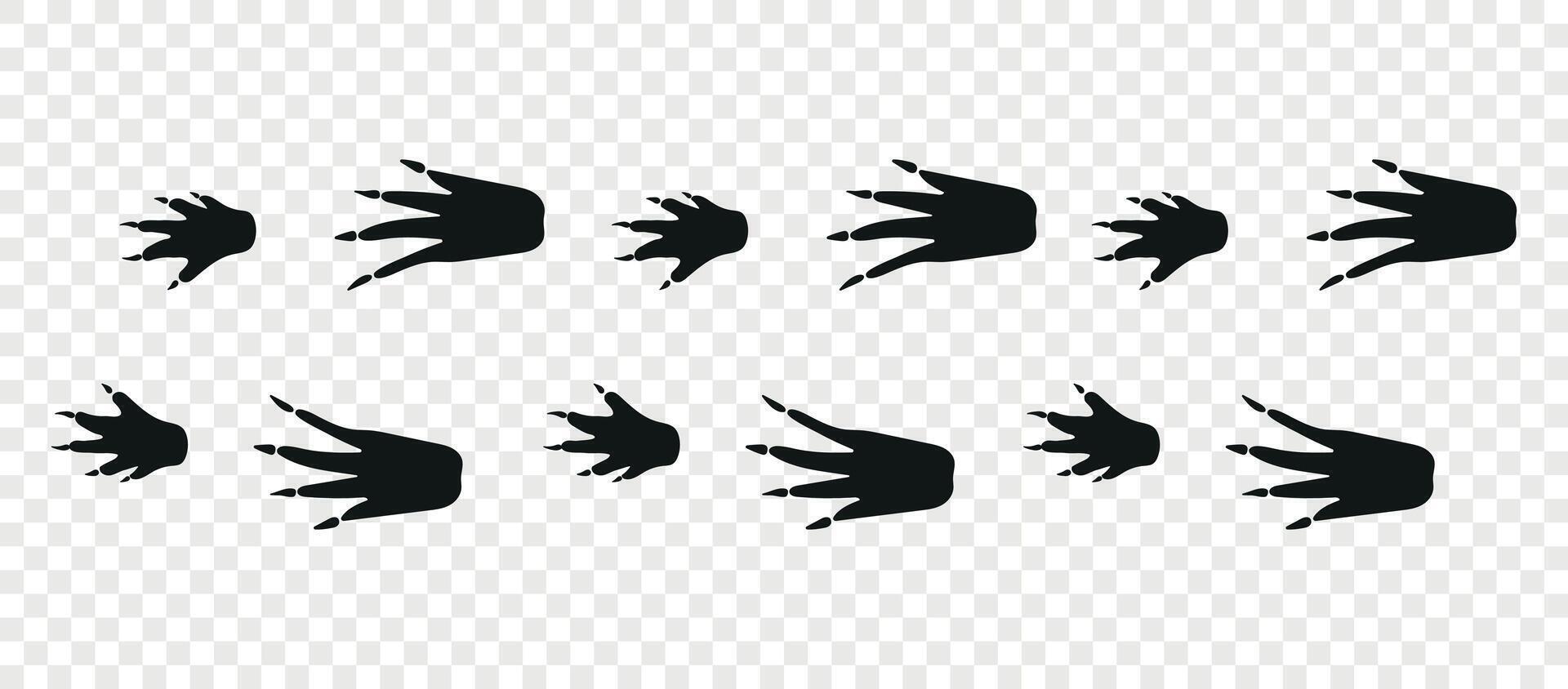 Crocodile paws. Footpath trail of animals. Paw foot trail print of crocodile on white background. Animal steps in black color. vector