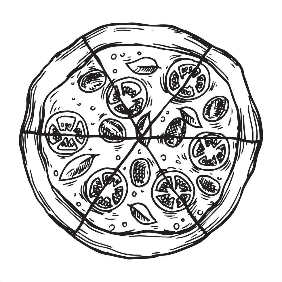 Pizza circle divided into pieces, drawing in sketch style. black and white graphics, engraving vector