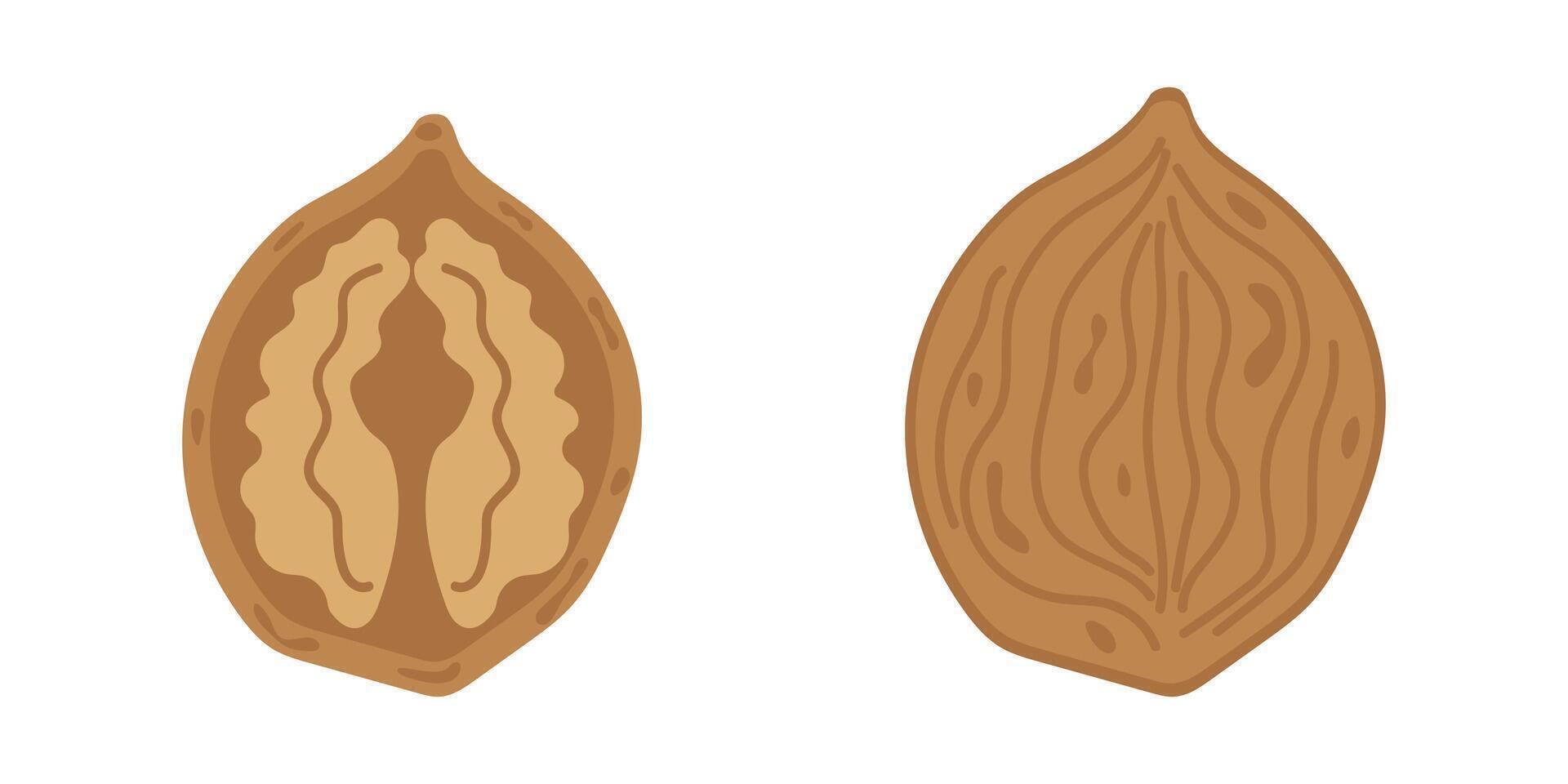Set of abstract illustrations of nut. Simple walnut. Collection design for interior, cards, posters, banners, flyers, wallpapers for social networks vector