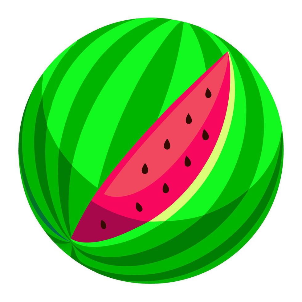 illustration of a watermelon vector