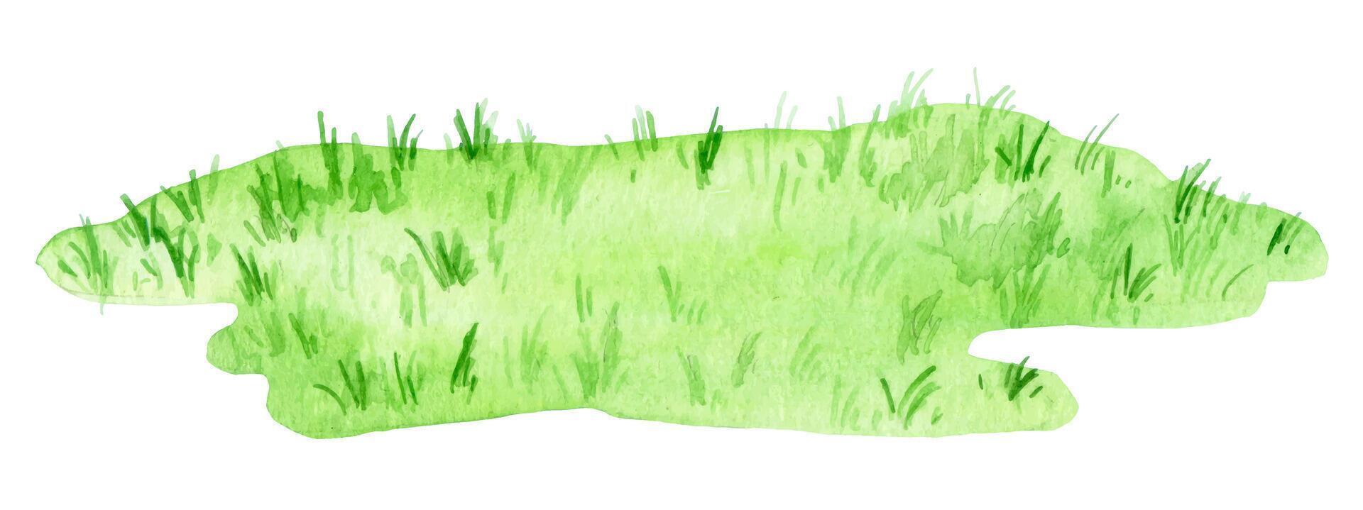 watercolor drawing, green lawn. cute isolated illustration with green grass vector