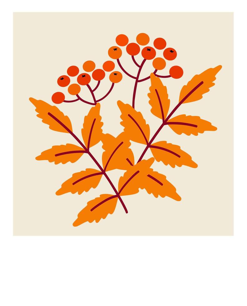 Bright orange berries and autumn leaves illustrated against a light background in a modern vector