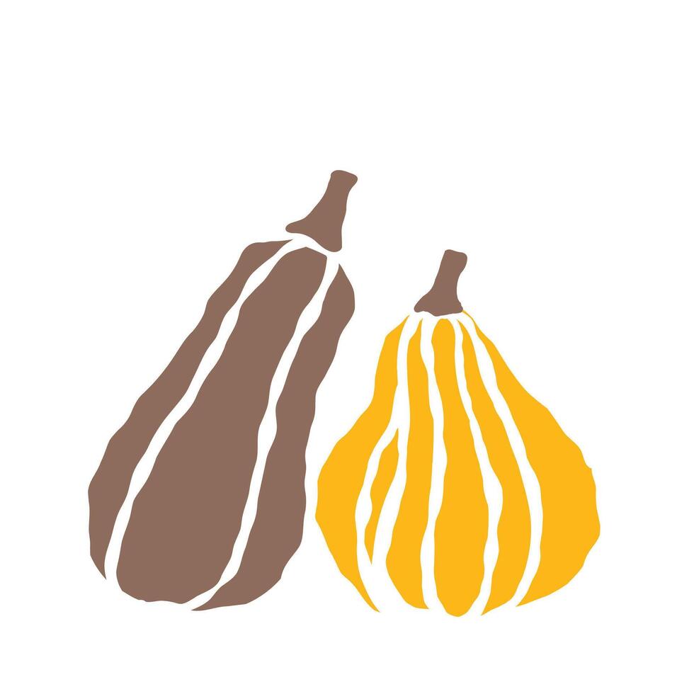 Gentle pumpkin illustration depicting two stylized gourds with contrasting colors and shapes, highlighting their unique features in a simple design vector