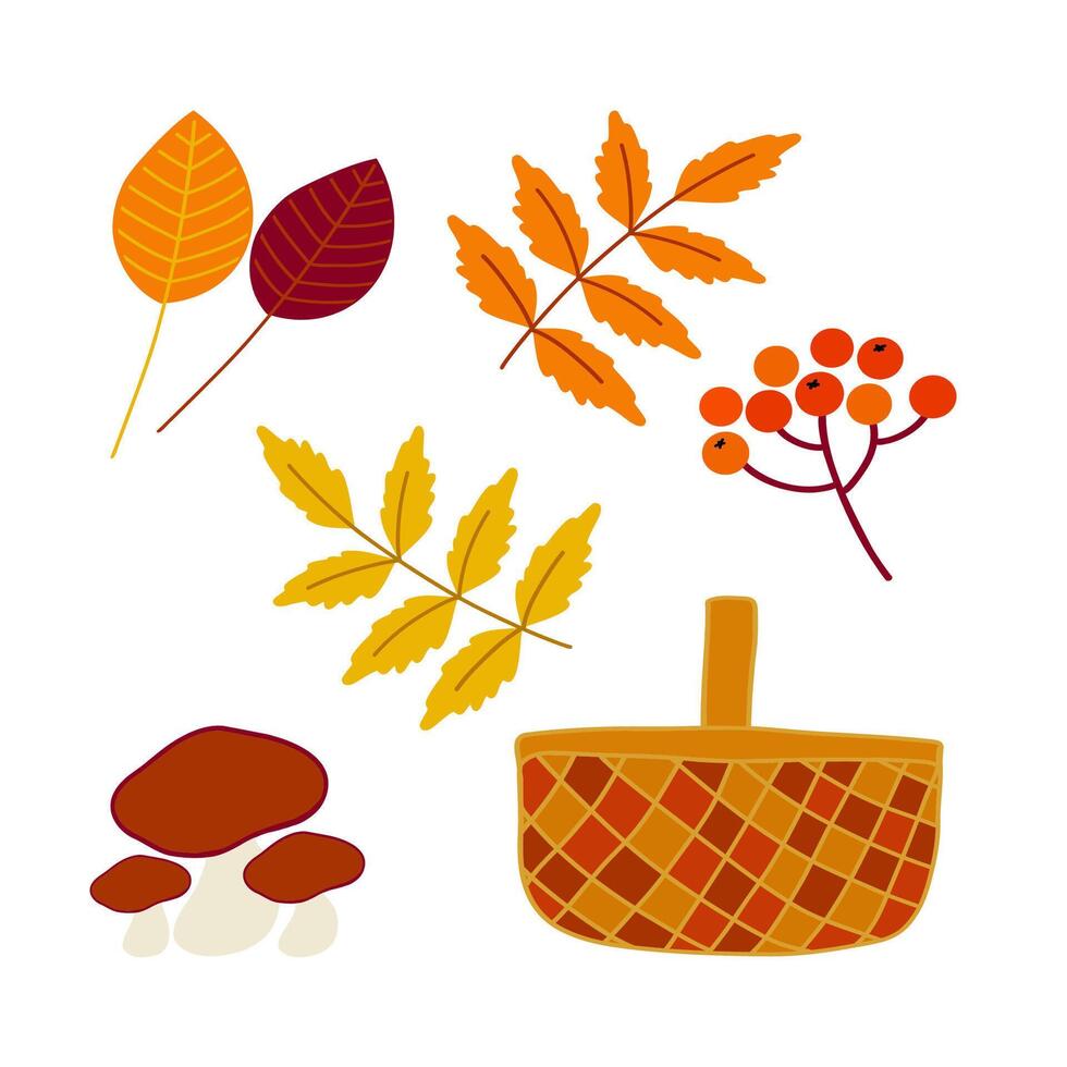 Colorful autumn leaves, mushrooms, and berries arranged with a wicker basket on a white background vector