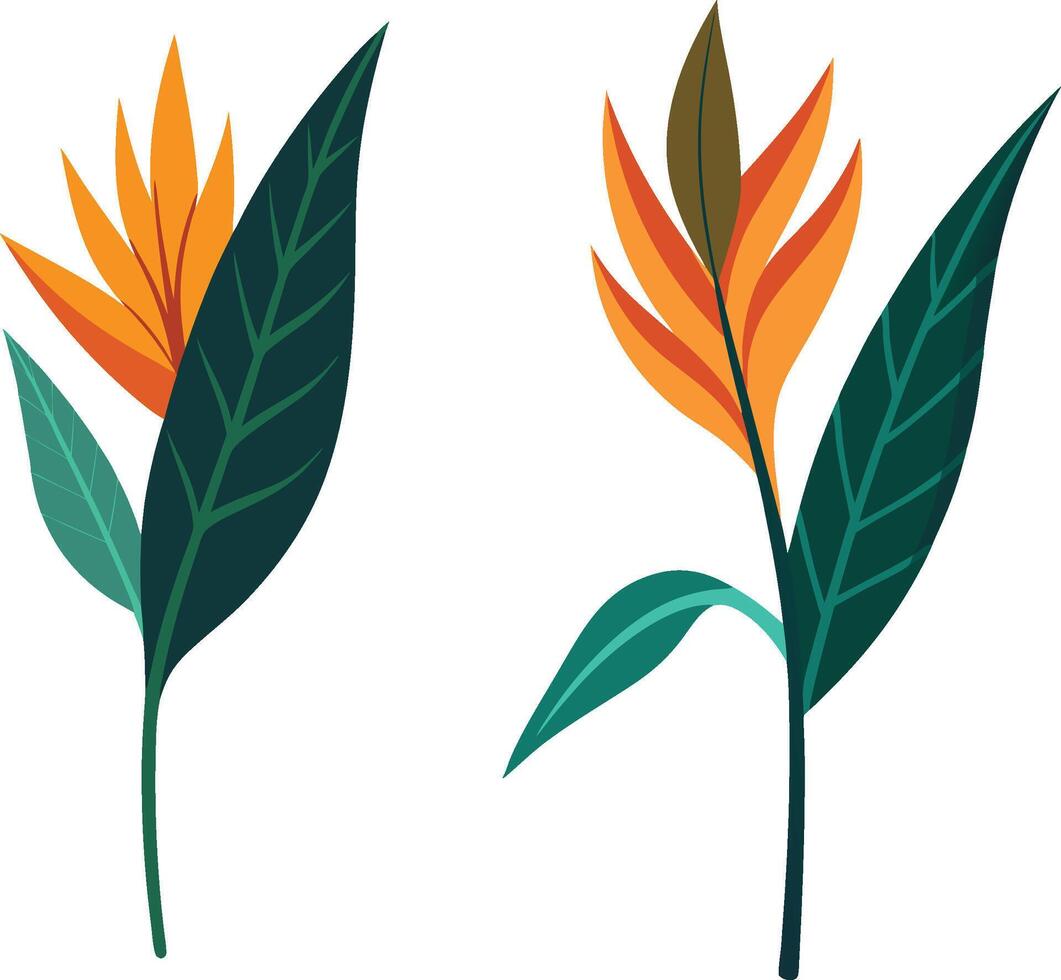 Bird of Paradise tree leaves vector