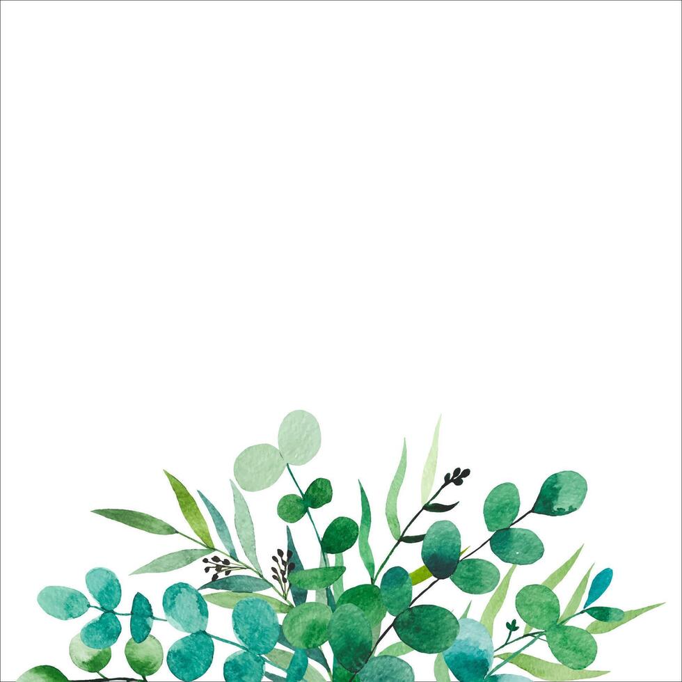 Border with eucalyptus branches. Hand drawn botanical illustration vector