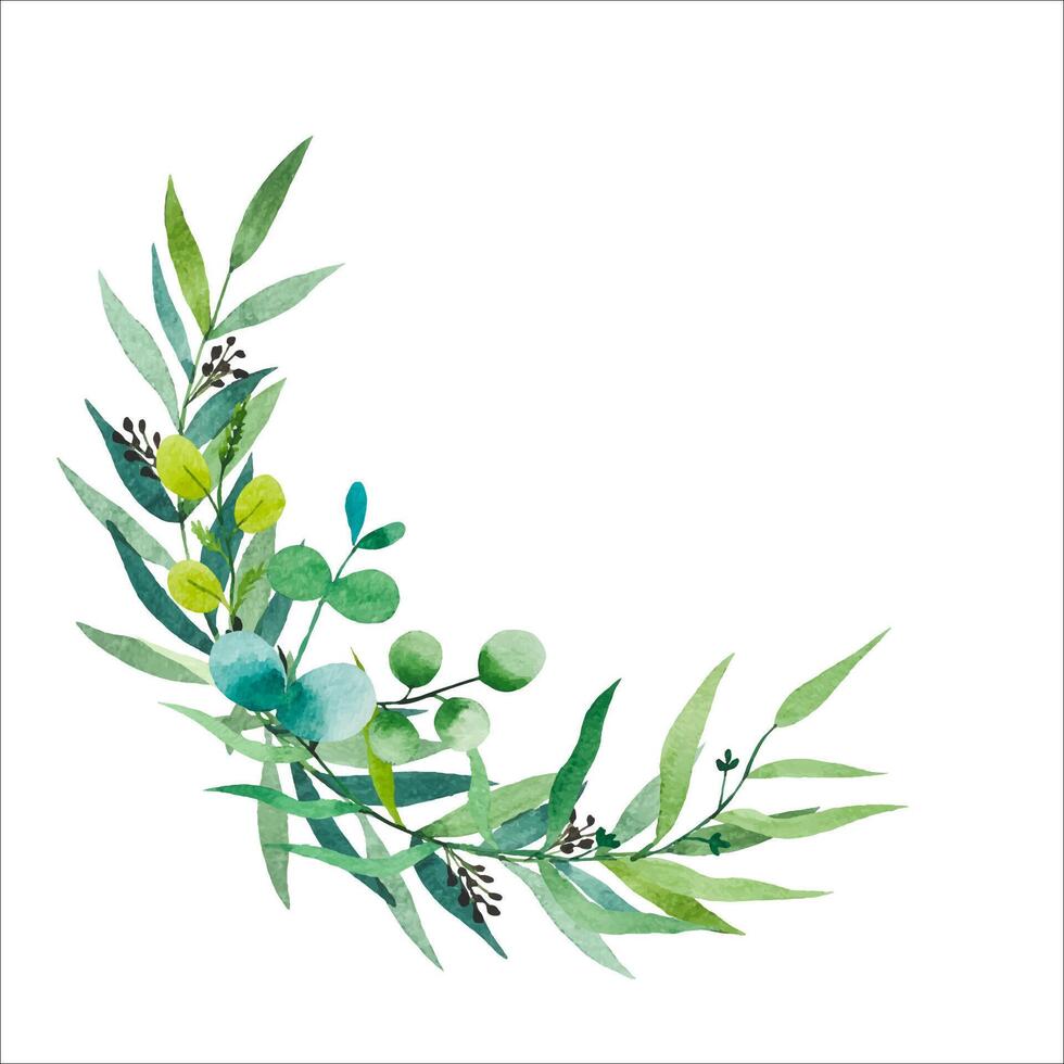 Bouquet of watercolor foliage. Eucalyptus branches. vector