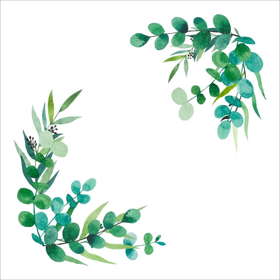 Watercolor frame, eucalyptus branches. Hand drawn botanical illustration vector