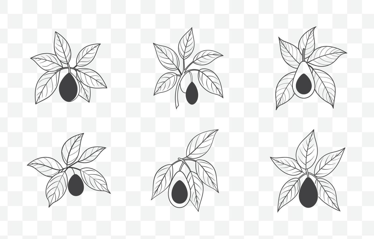 Print Avocado Tree Leaves Line Art Set with Detailed Foliage Illustrations for Design Projects vector