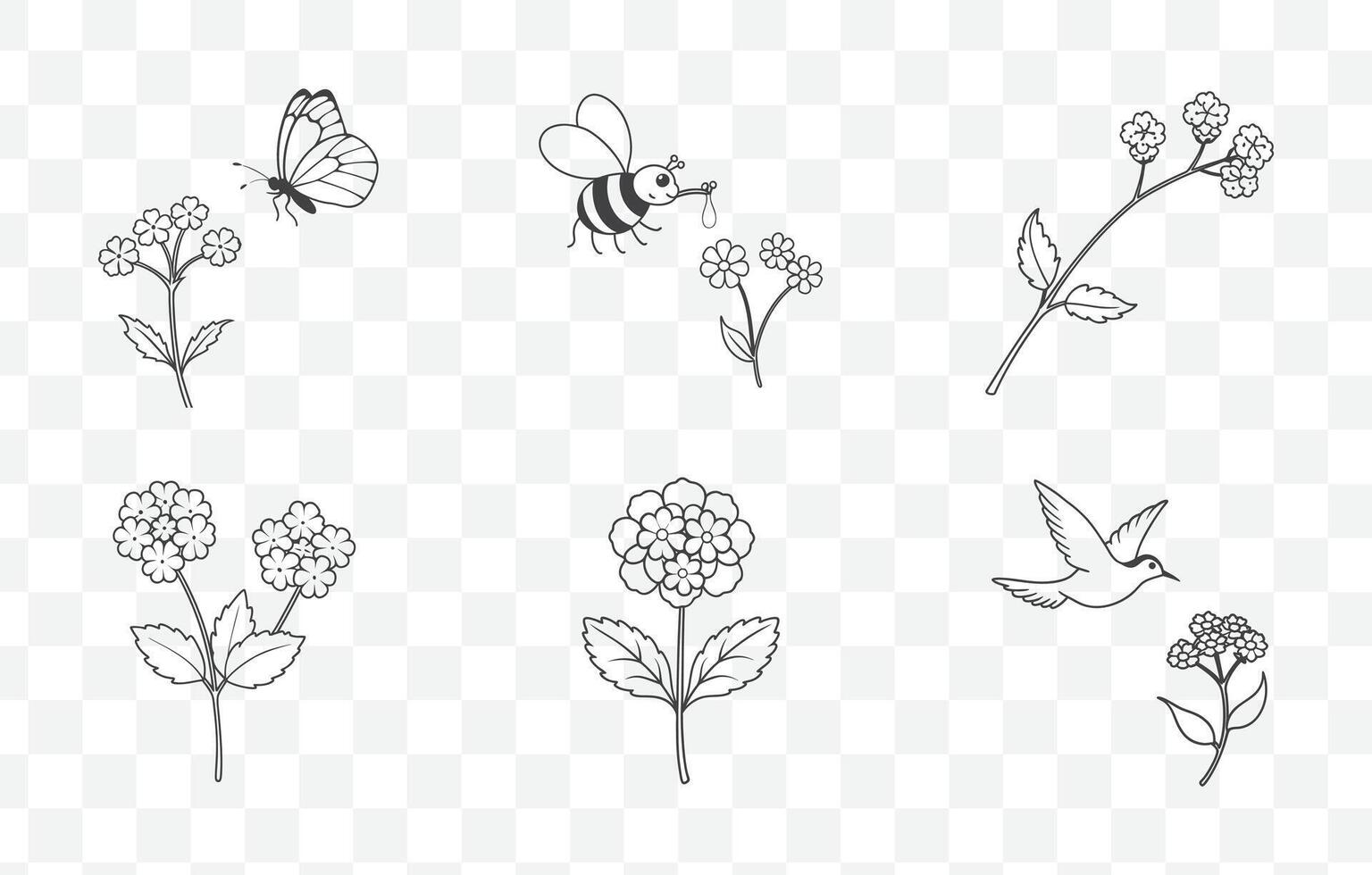 Print Elegant Sweet Pea Line Art Collection with Detailed Floral Illustrations for Artistic and Botanical Designs vector