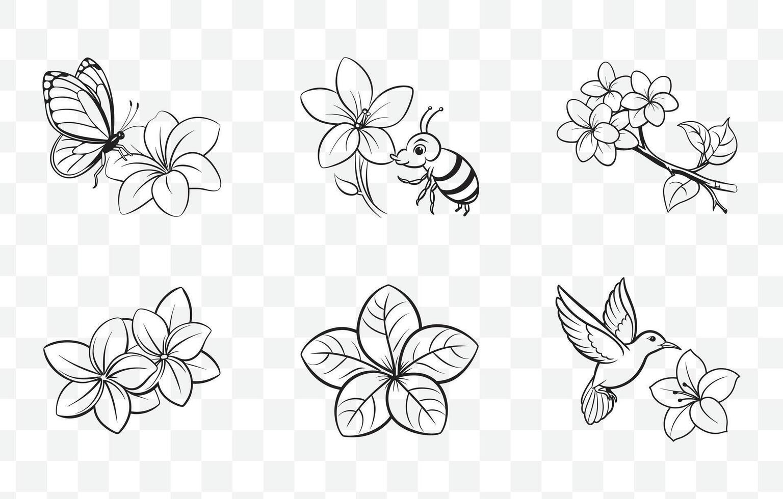 Print Plumeria Botanical Line Art Set with Floral Illustrations and Tropical Flower Designs vector