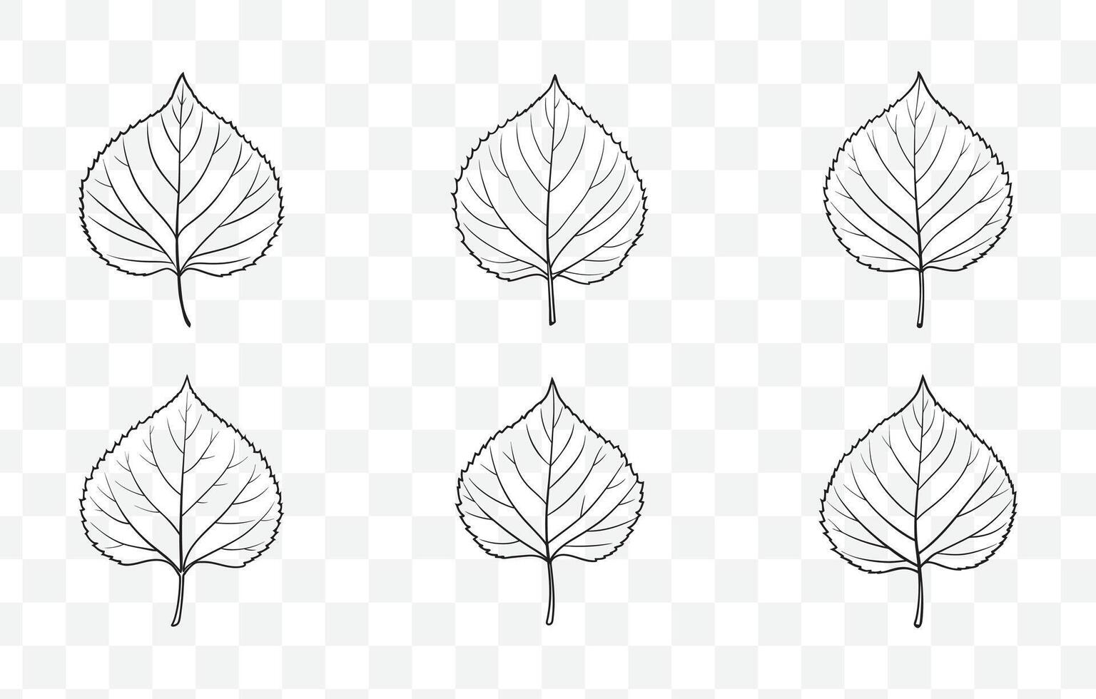 Print Detailed Aspen Tree Leaves Line Art Set for Nature Inspired Designs and Illustrations vector