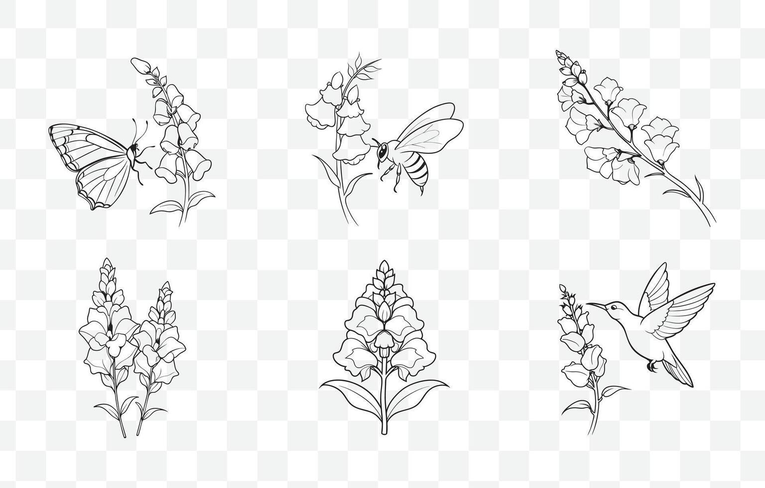 Print Snapdragon Flower Botanical Line Art Set for Floral Designs and Illustrations vector
