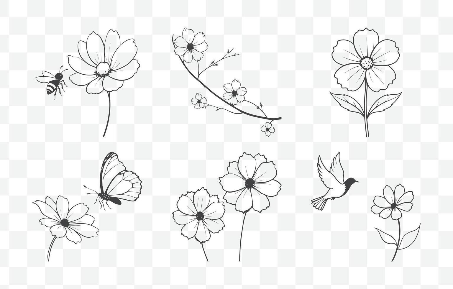 Print Cosmos Flower Line Art Set with Detailed Botanical Illustrations in Elegant Minimalist Style vector
