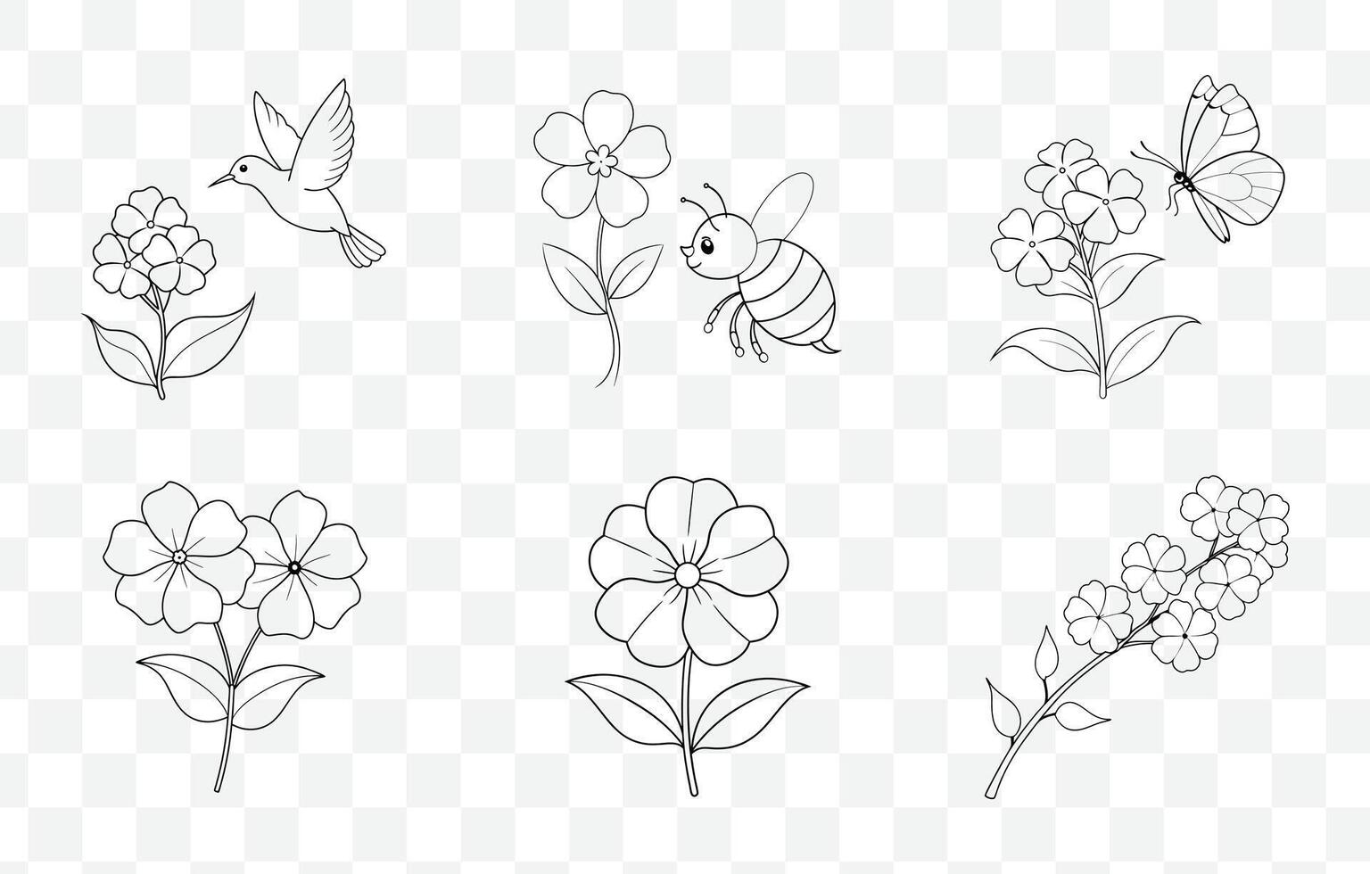 Print Phlox Flower Line Art Set Botanical Illustrations of Phlox Blossoms for Design and Art Projects vector