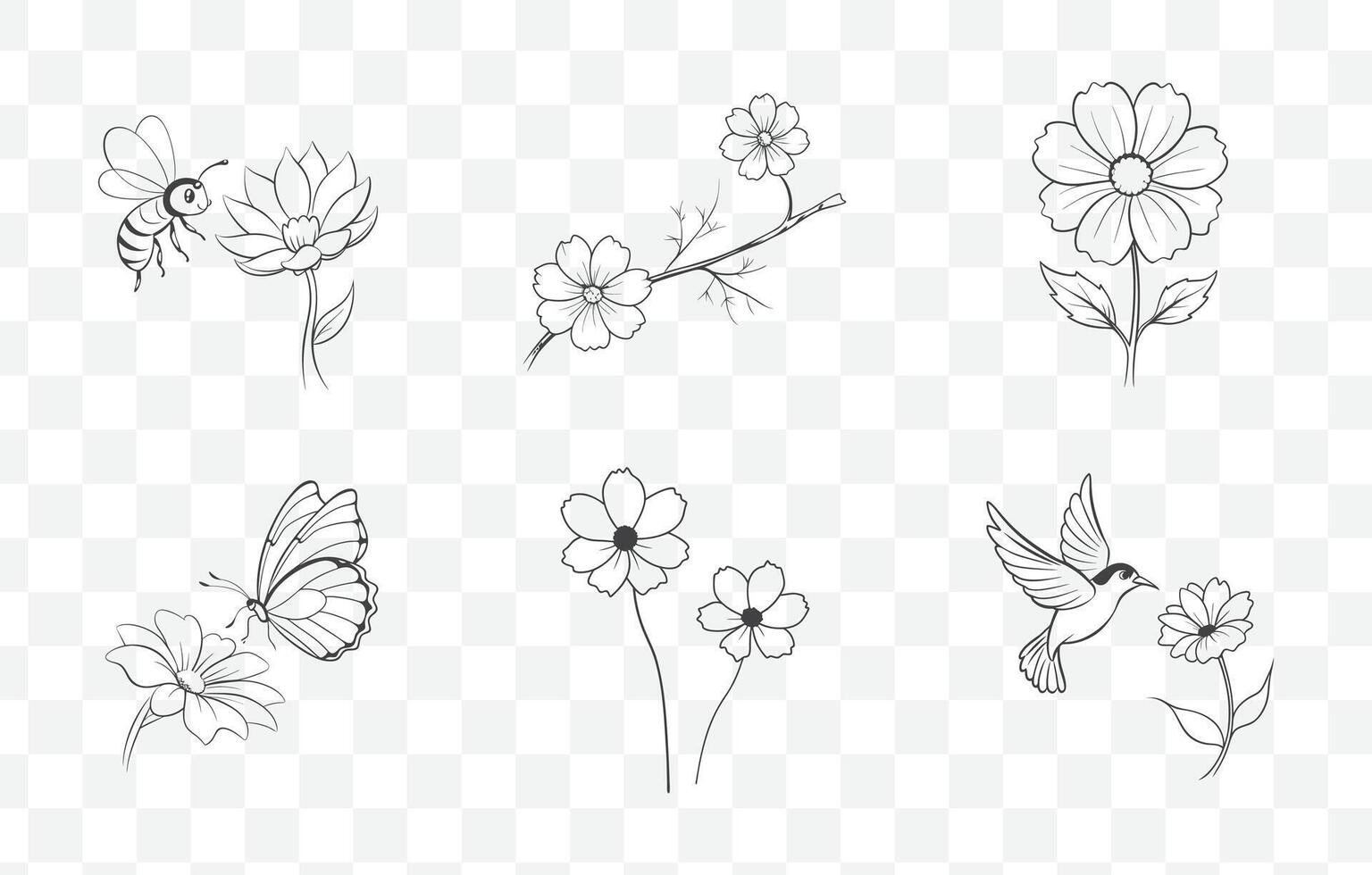 Print Comprehensive Cosmos Flower Line Art Set Featuring Detailed Botanical Illustrations for Creative Design Projects vector