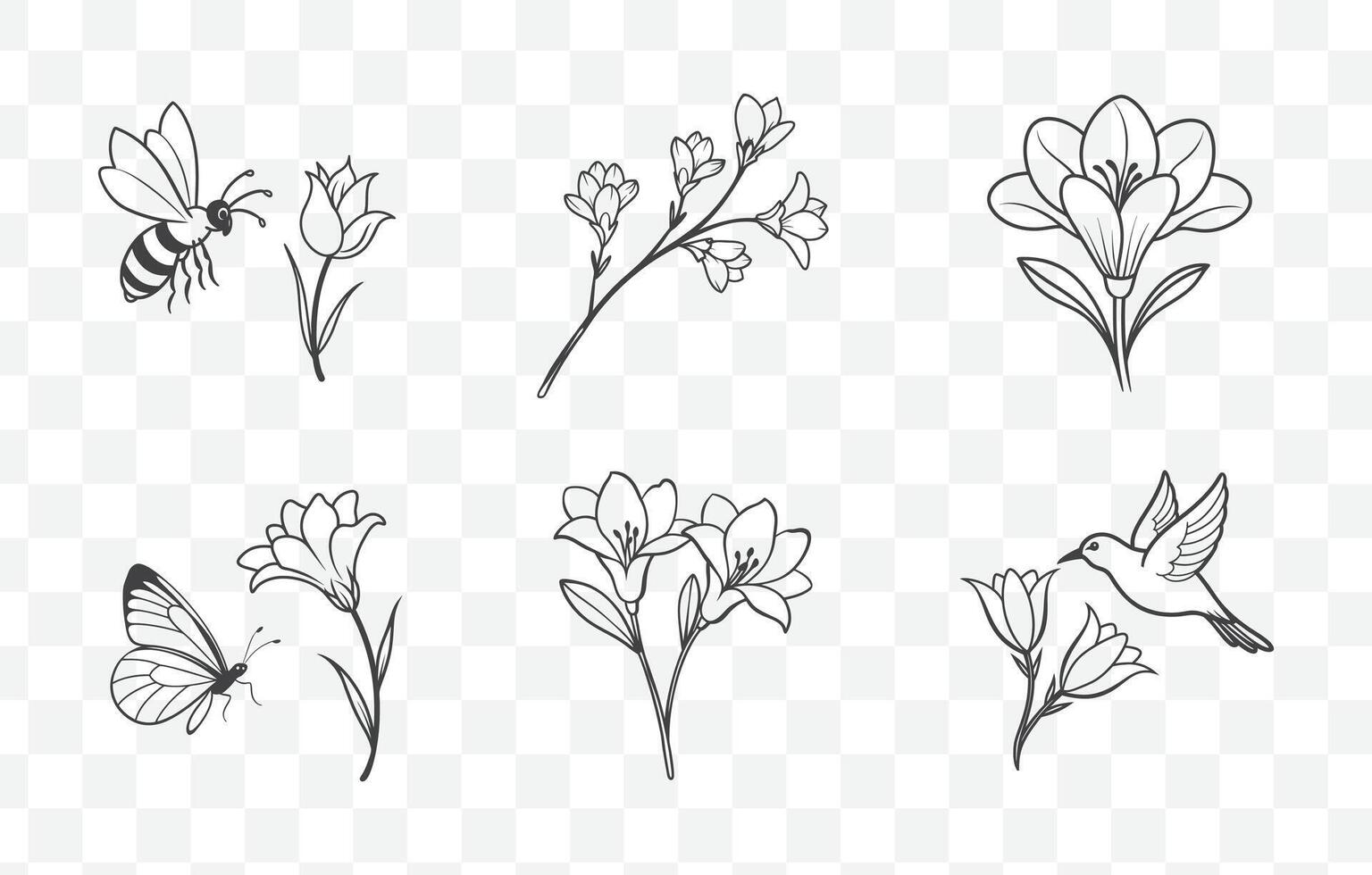 Print Elegant Freesia Line Art Set with Detailed Flower Illustrations for Floral Design and Decoration vector