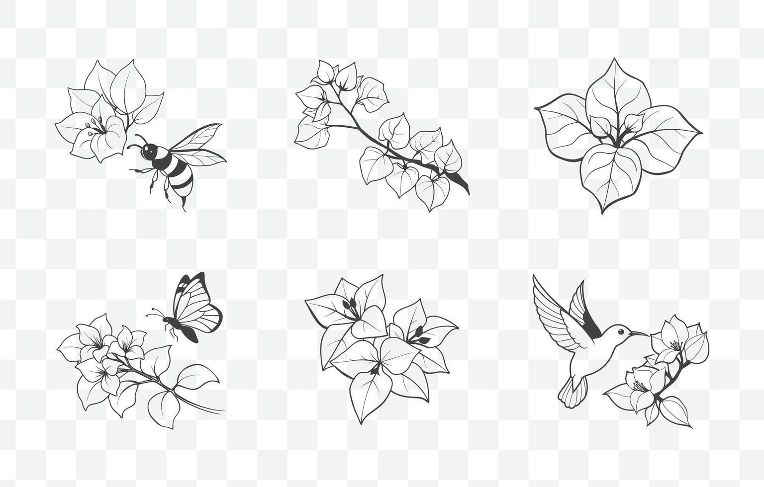 Print Elegant Bougainvillea Line Art Set Featuring Intricate Floral Designs and Detailed Botanical Illustrations vector