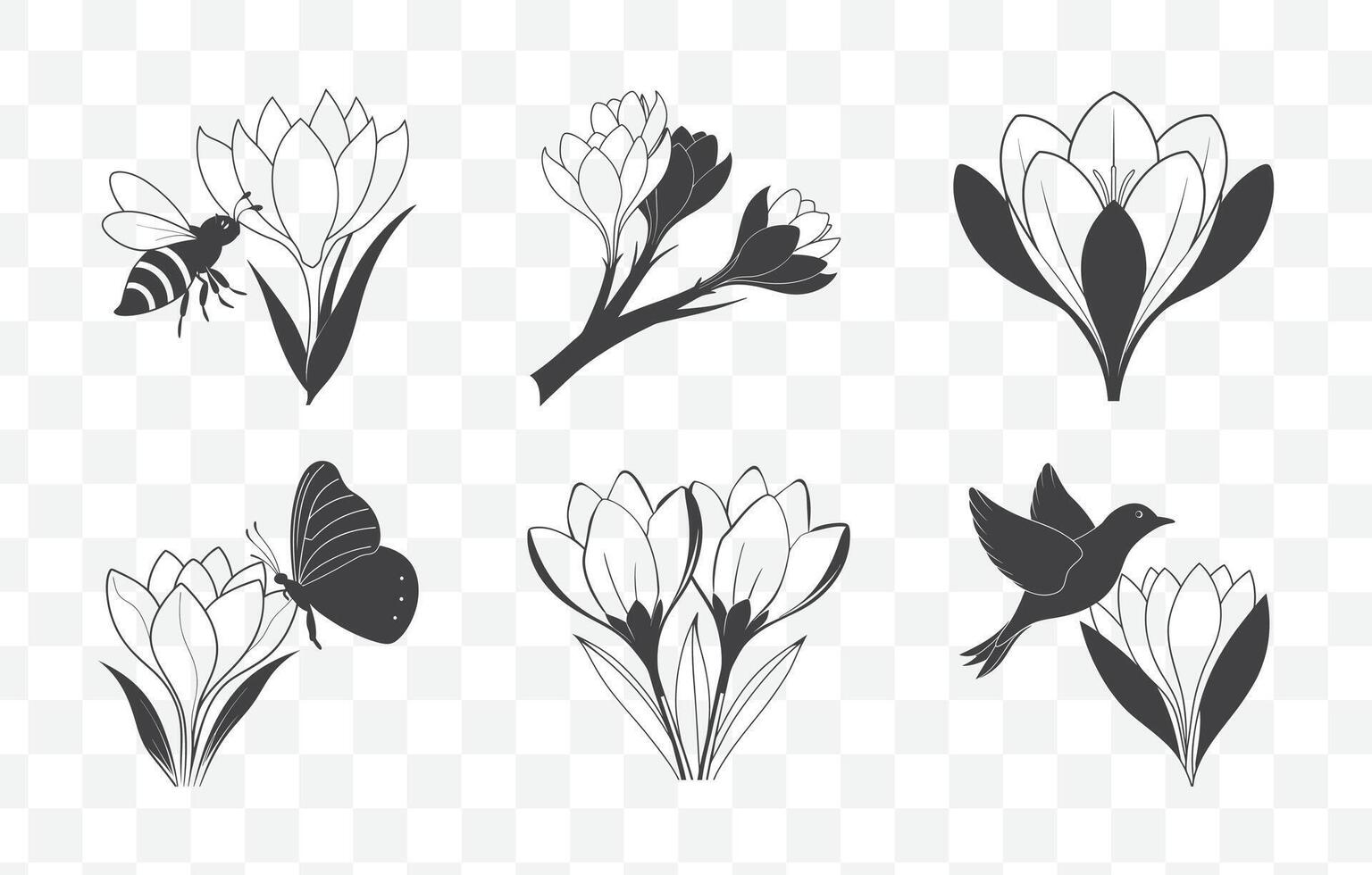 Print Crocus Botanical Line Art Collection of Elegant Floral Illustrations vector