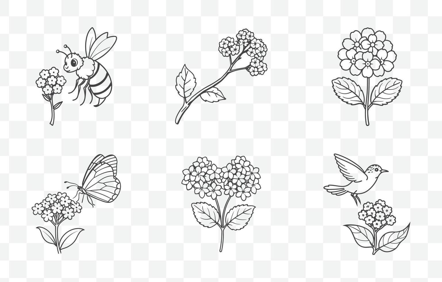 Print Heliotrope Line Art Collection Elegant and Detailed Botanical Illustrations of Heliotrope Flowers and Leaves vector