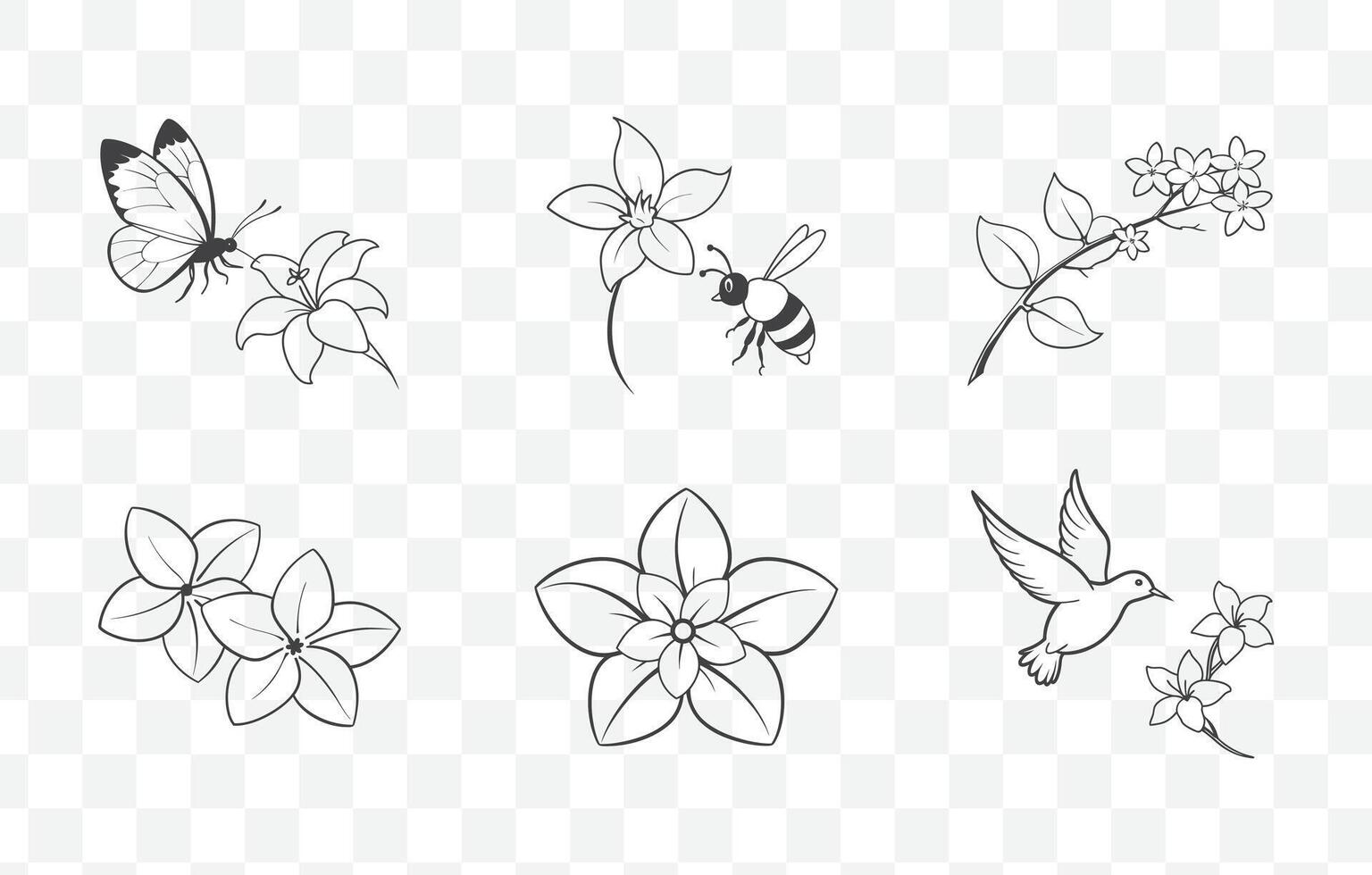 Stephanotis Line Art Set Elegant Floral Illustrations for Graphic Design and Craft Projects vector