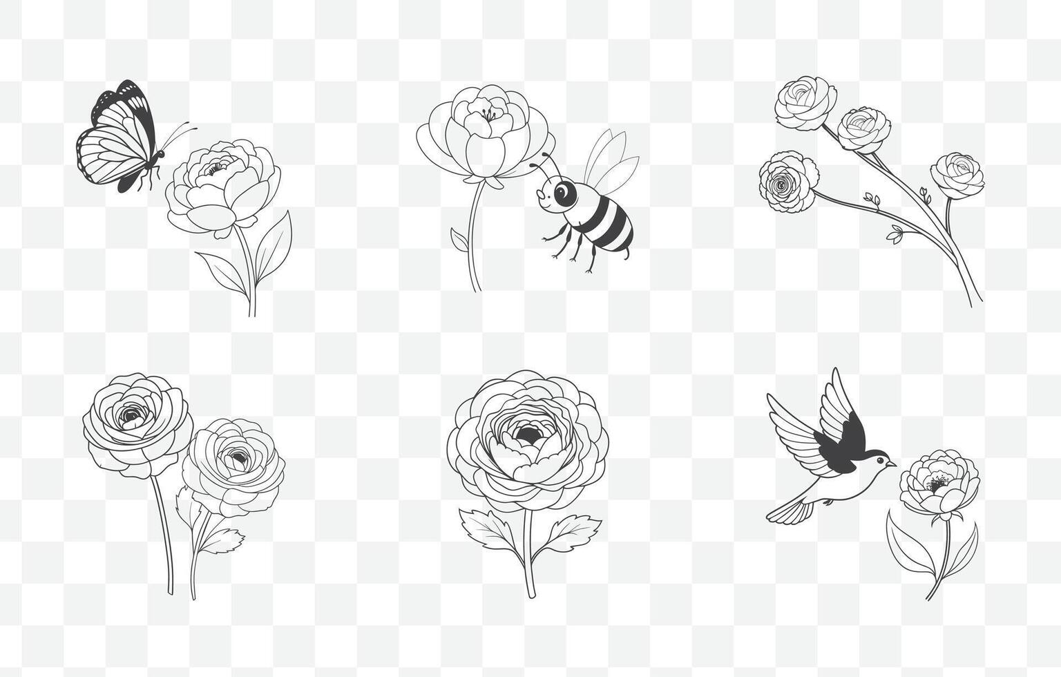 Comprehensive Ranunculus Line Art Collection with Detailed Floral Designs for Artistic and Graphic Projects vector