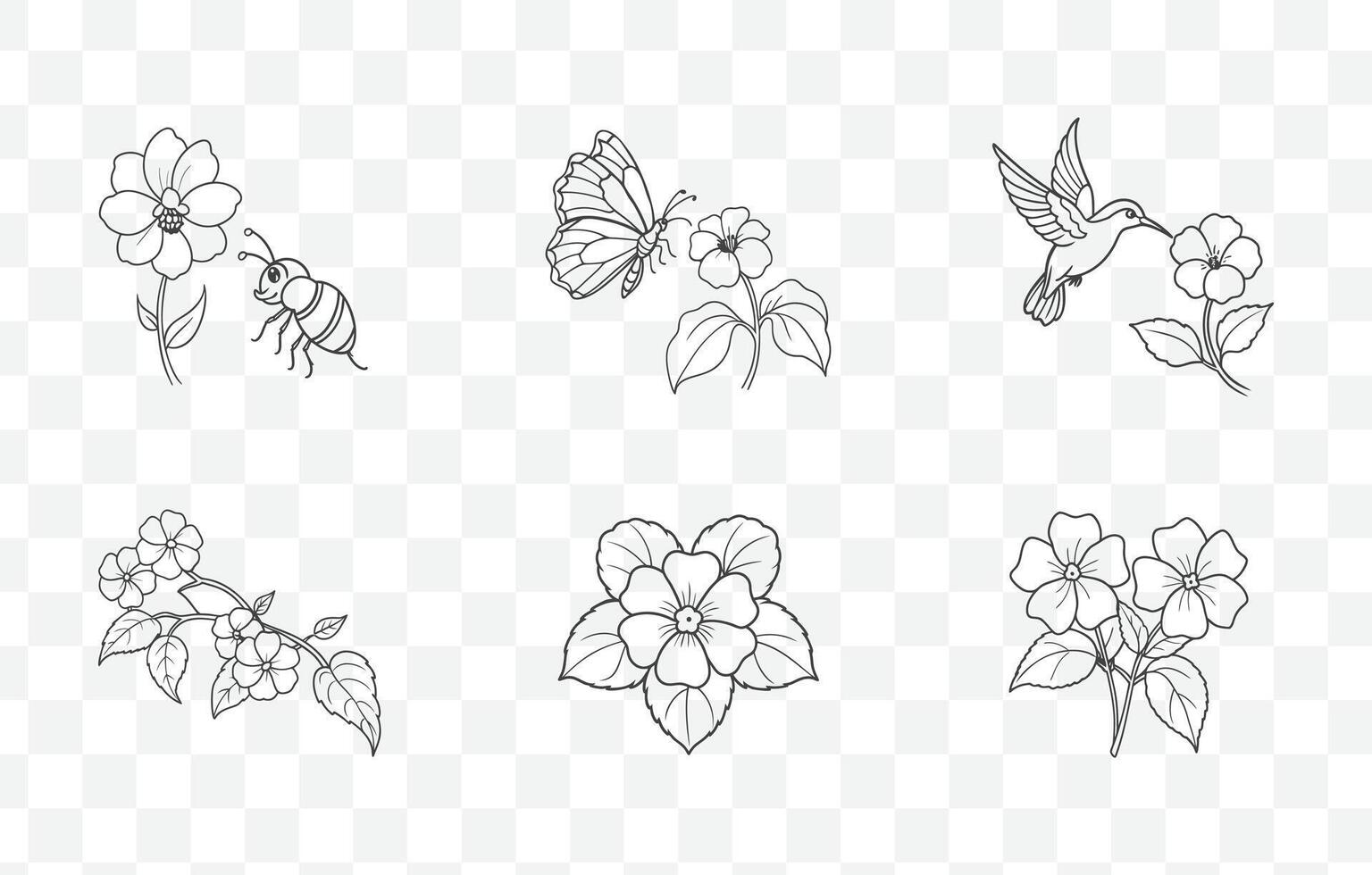Print Impatiens Flower Line Art Set Botanical Illustrations of Impatiens Plant with Detailed Floral and Leaf Designs vector