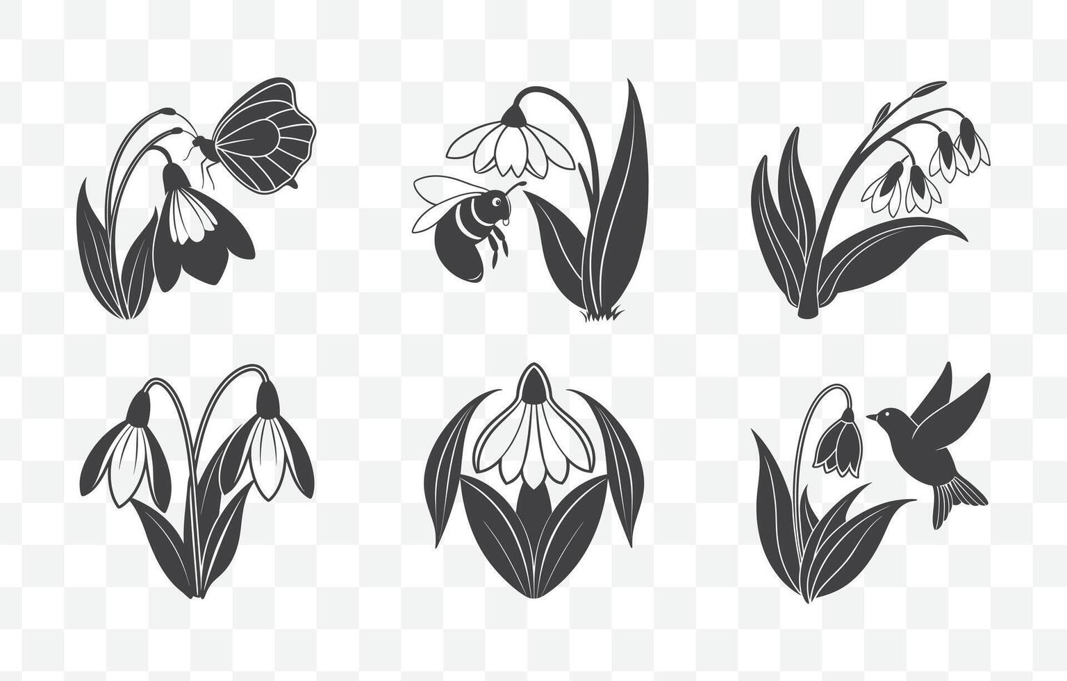 Print Snowdrop Flower Botanical Line Art Set Elegant Floral Illustrations for Design and Decor vector