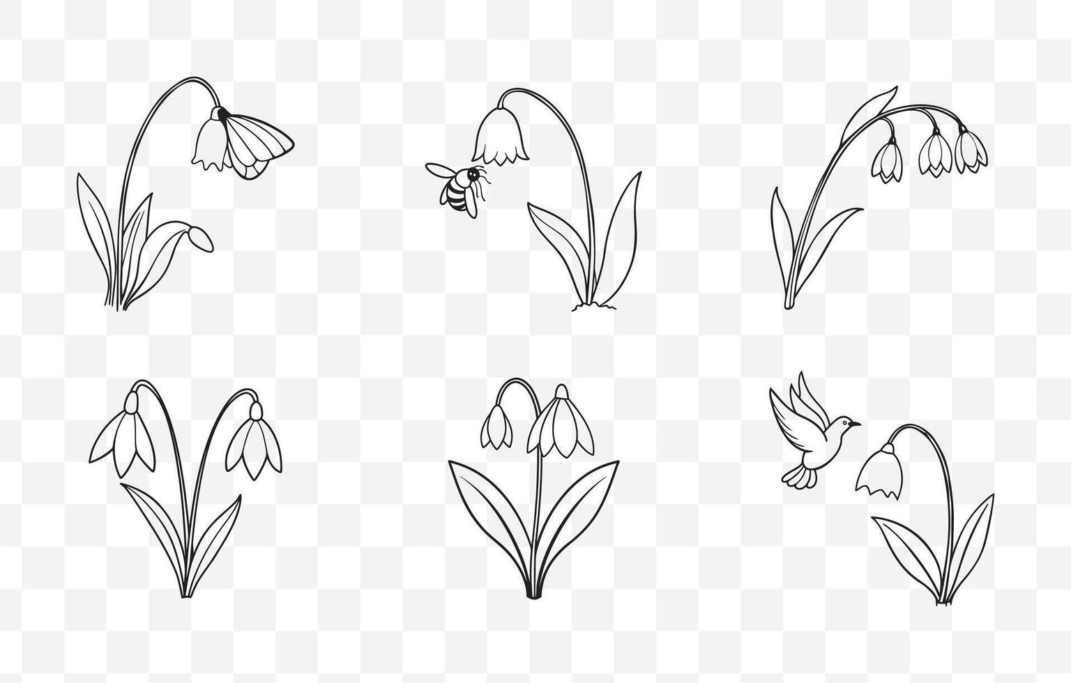 Print Snowdrop Flower Botanical Line Art Set Elegant Floral Illustrations for Design and Decor vector